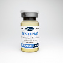 Testosterone Enanthate 250mg/ml - Apoxar