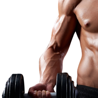 Gain Muscle